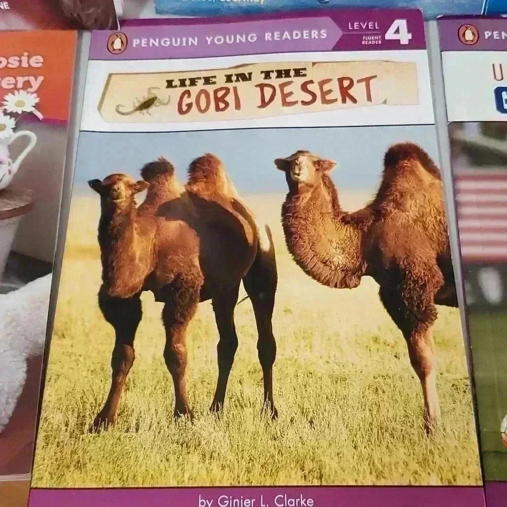 Books - Picture 5 of 7